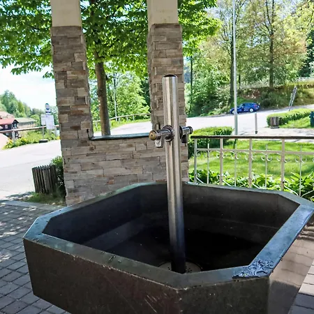 Appartamento Jansky Potok I-8 By Interhome Janské Lázně